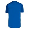 Officiële Voetbalshirt Cruzeiro Thuis 2024-25 - Heren